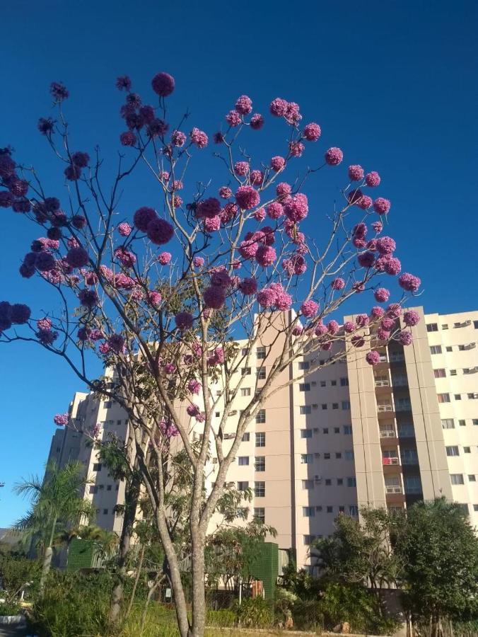 Apartamento Ecologic Park 卡达斯诺瓦斯 外观 照片